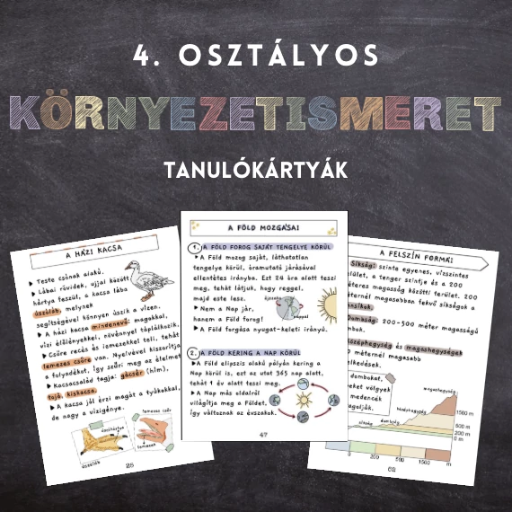 Negyedikes környezetismeret tanulókártyák - teljes tanév