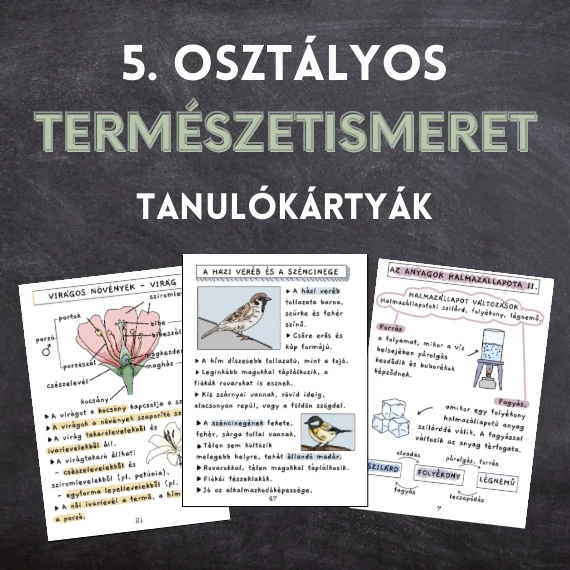 Ötödikes természetismeret tanulókártyák - teljes tanév